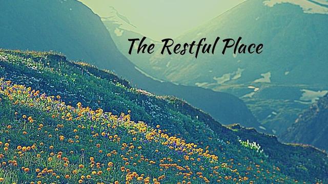 2 Even then, God was preparing my mouth to speak like a sharp sword.

Read the full article: The Restful Place: a meditation on Isaiah 49
▸ https://lttr.ai/AIve9

#RestfulSleep #Christian #bible