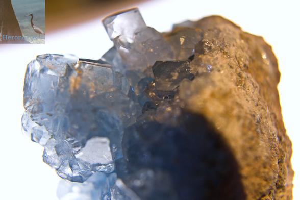 A photograph of a blue-white crystal growing out of a gray rock.