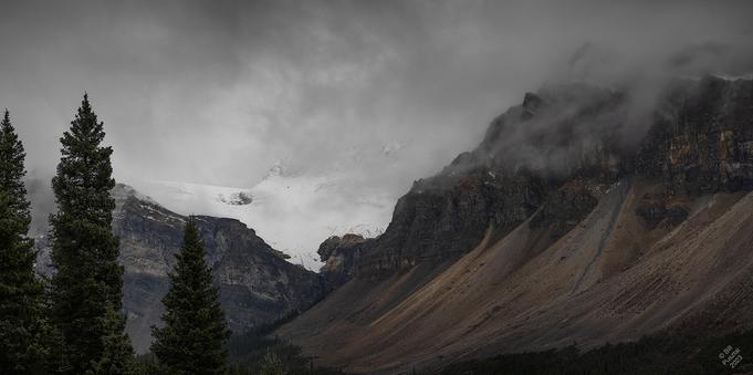 An enormous mountainous landscape under a cloudy sky. On the right and left is Crowfoot Mountain, with long shallow talus slopes at the base. In the centre is the glacier, in the saddle between the two arms of the mountain. In the foreground are a few trees, probably firs. At the base of the talus slopes are more trees of the same size but they look minute at the distance - giving you a sense of the scale.