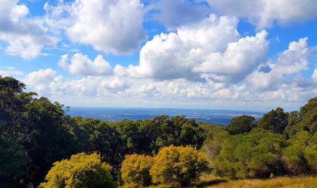 View of Lake Macquarie region of NSW taken from Mount Sugarloaf.
In the distance is Newcastle & the South Pacific Ocean.
Lots of trees. Blue sky with fluffy clouds.