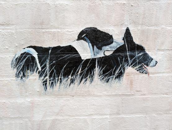 Mural of two cattle dogs in the grass