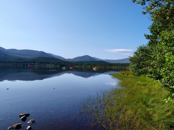 Photo of Loch Morlich. Bluesky, blue hills, reflected in com blue water. Several coloured row boats centre. Trees and grass to the right, stones bottom left.