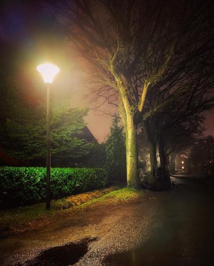 A street lamp casts a warm yellowish light on a nearby tree and the wet street.
