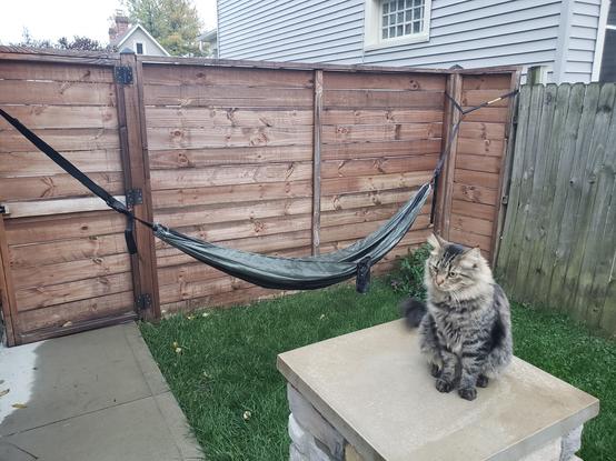 hammock attached to a vertical beam on my back porch and to the corner of a wooden gate.
