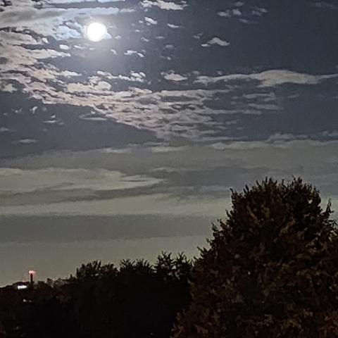 Bright moon behind wispy clouds, with tree in foreground
