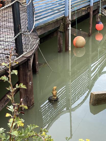 Right at the top of the tide this garden gnome standing on a post just about keeps his toes dry