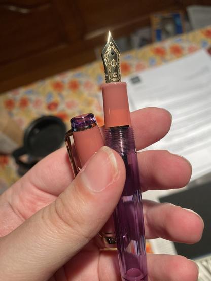 I’m holding the fountain pen. It has a clear purple body with salmon accents and a gold nib.