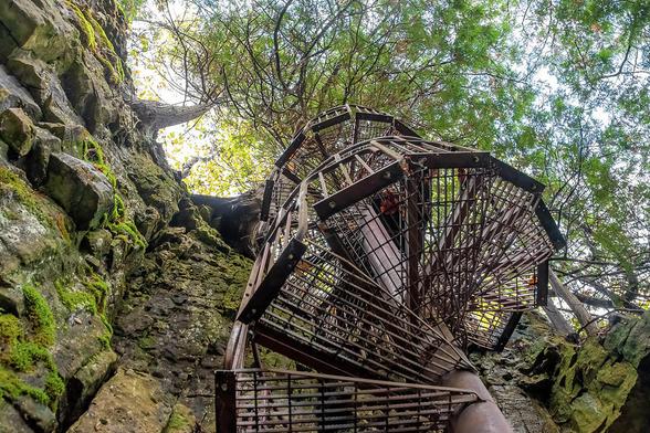 A spiral staircase leads hikers down a cliff in the woods in Spirit Rock Conservation Area near Wiarton, Ontario.