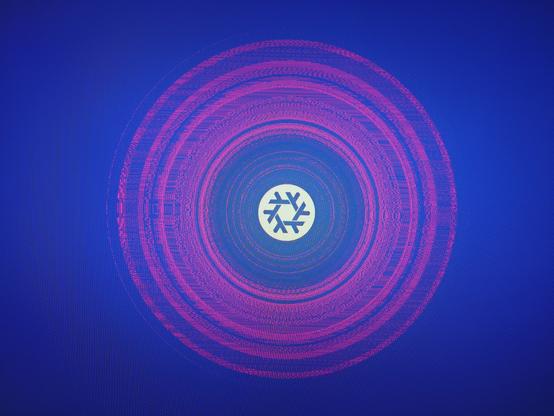 Nixos logo with rings caused by screen not working properly