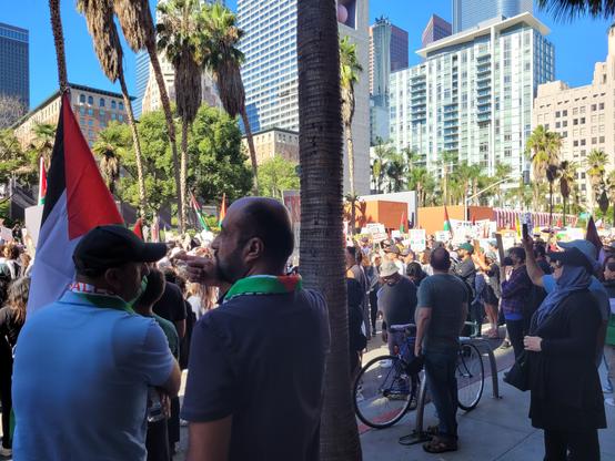 Picture of pro-palestine protest in Los Angeles with palm trees, flags, and thousands and thousands of people!