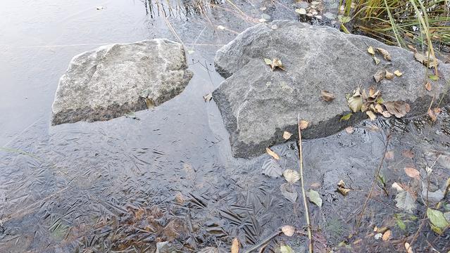 Paljon vettä, josta ihan vähän vain jäässä. Kaikki järvessä.