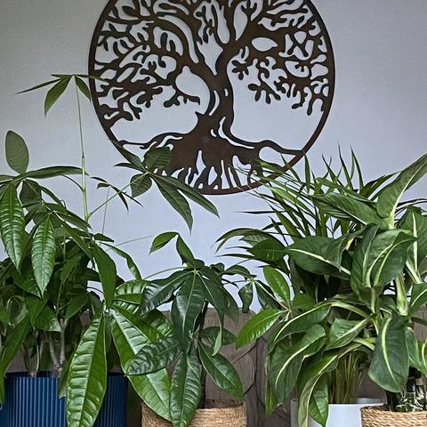 A photo of 4 medium sized houseplants all bunched up together on a table, you only see their leaves and they take up the bottom half of the photo. At the top is a large circular metal tree of life wall hanging on my otherwise empty wall.