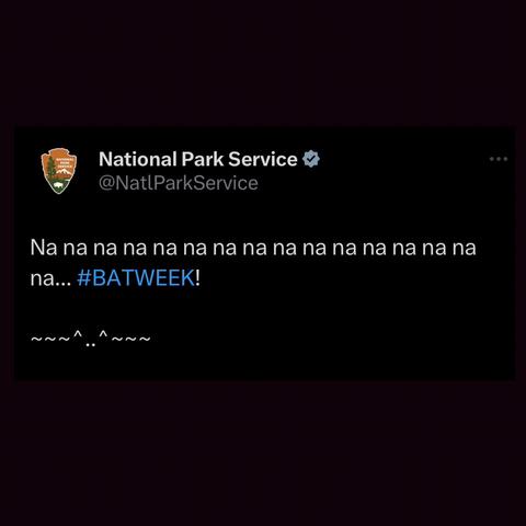 A Tweet from the National Park Service:

Na na na na na na na na na na na na na na na na ... hashtag batweek!

[bat emoticon]