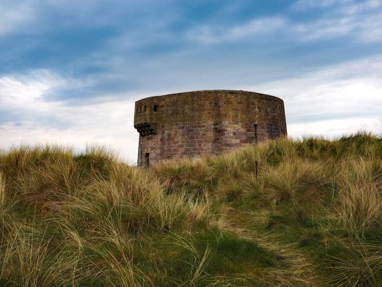 A Martello Tower as seen from a low point of view with tall grasses in the foreground.