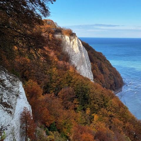 Der Kreidefelsen Königsstuhl mit ein paar Sonnenflecken. Der Buchenwald ist hier an der Küste schon bald blattlos und jetzt bereits eher braun als bunt. Die Ostsee ist unter den fast wolkenlosen Himmel schön blau.