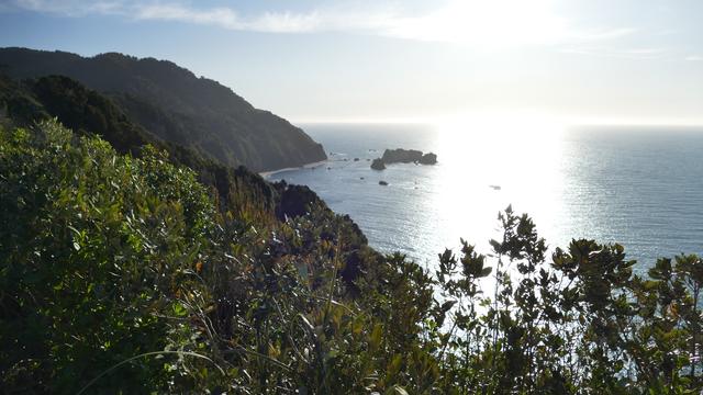 Image shows the Sun reflecting very brightly off the Tasman Sea as seen from the Knight's Point lookout on the Haast Highway.