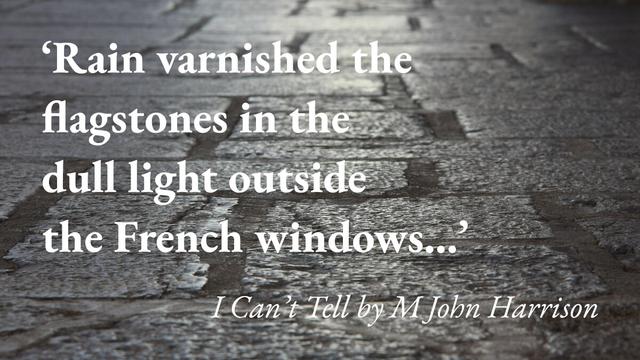 Flagstones recede into the distance, with a quote from M John Harrison's short story I Can't Tell: 'Rain varnished the flagstones in the dull light outside the French windows…'