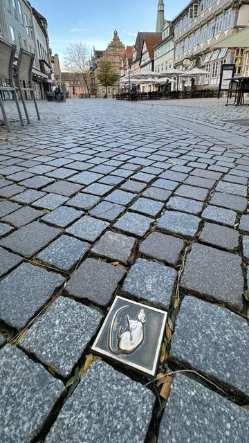 Kopfsteinpflaster in der Hamelner Altstadt. Im Vordergrund eine Bronzeplatte mit der Abbildung einer Ratte.