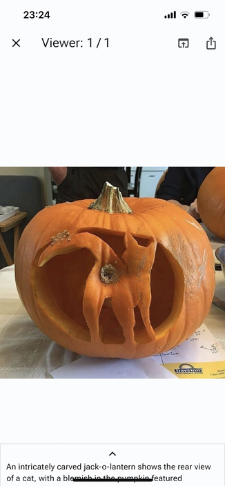 pumpkin cut out. you see a standing cat on its back, with the stalk as it’s anus. 

uitgesneden pompoen. je ziet een staande kat van achteren, met
het restant van de stengel als zijn anus.