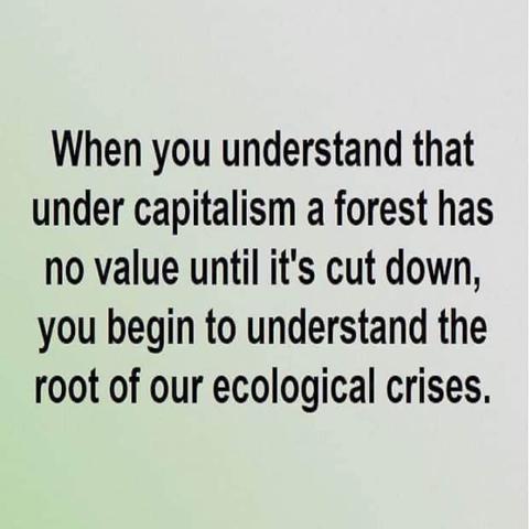 When you understand that under capitalism a forest has no value until it's cut down, you begin to understand the root of our ecological crises.