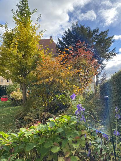 Herbstfarben im Garten und Sonne