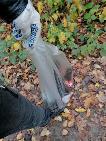 bag with trash