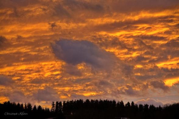 Good night! 😴

February 2022 Christoph Koester | #Gierskopp #Olsberg