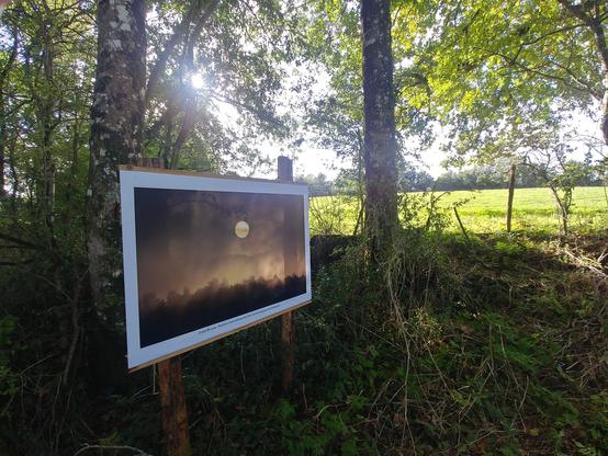 Une reprodroduction d'une photo nature de Joël Brunet en grand format avec de la végétation en fond sur un chemin de promenade.