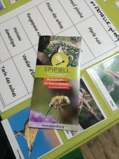 Une animation du stand Vigie Nature comportant une grille de noms d'oiseaux et des photos d'oiseaux. Le tout est en partie recouvert par une brochure présentant le programme de sciences participatives Spipoll.