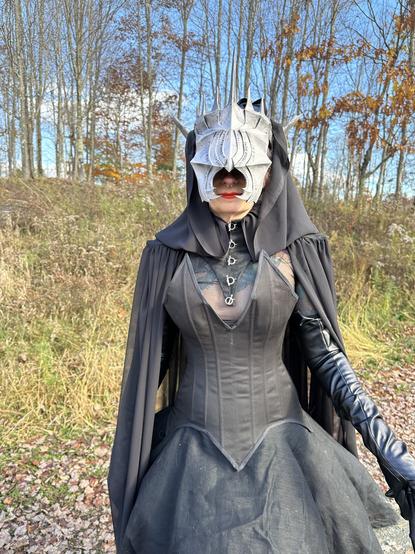 a closeup of the top of the costume