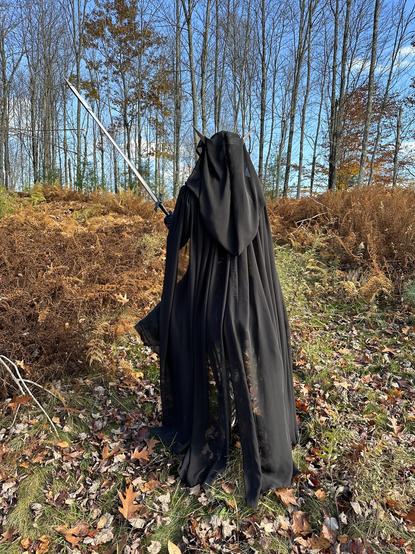 the back of the black chiffon cloak