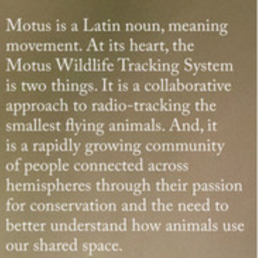 Text only image: Motus is a Latin noun, meaning movement. At its heart, the Motus Wildlife Tracking System is two things.  It is a collaborative approach to radio-tracking the smallest flying animals.  And, it is a rapidly growing community of people connected across hemisperes through their passion for conservation and the need to better understand how animals use our share space.