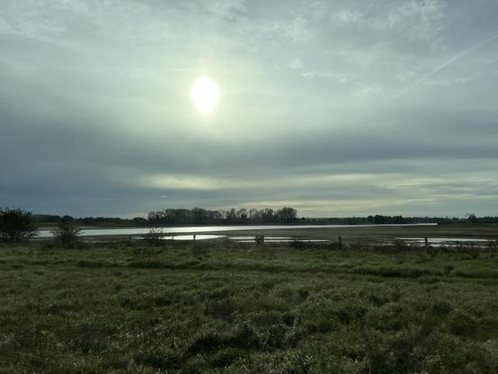 Gras weiland op voorgrond, erachter veel water en de zin die er op weerkaatst