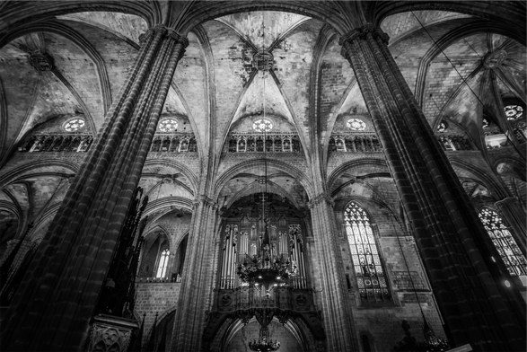 The high ceiling of the cathedral.