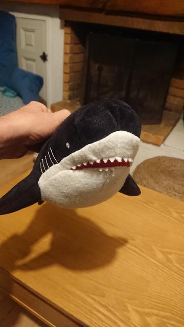 Détail de la gueule du requin avec ses dents.