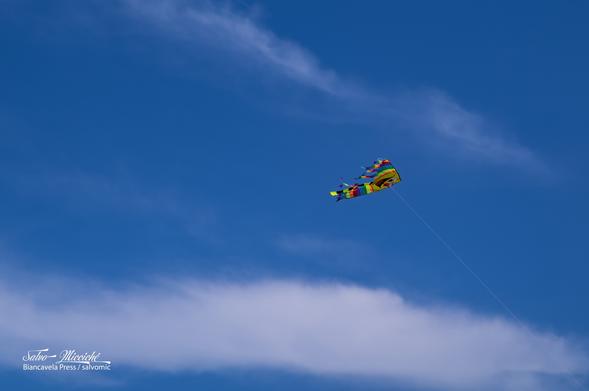 Aquilone, kite