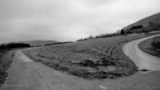 Which way would you choose?

November 2017 Christoph Koester | #Olsberg #Sauerland