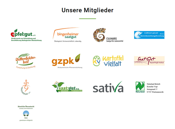 screenshot der Website mit den Mitgliedern