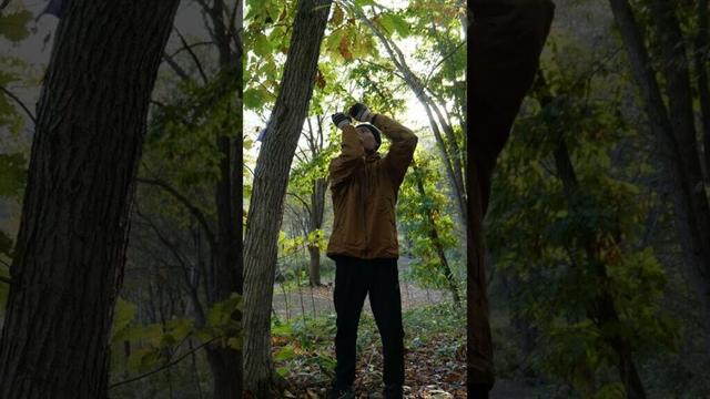 Escaped for a weekend camping trip in Hokkaido, Japan. | Part 2🍁🪵🏕️#fall #autumn #camping #shorts