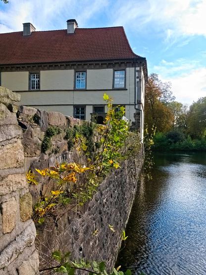 On the right is the pond in which the castle stands. On the left, a stone wall with plants growing out of it. Behind it a part of the castle.