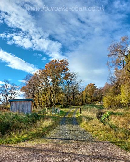 Track at Four Oaks with blue skies and autumn foliage
