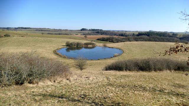 Ein kleines, flaches, kreisrundes Gewässer, in dem sich der wolkenlose blaue Himmel spiegelt.Ringsum graugrüne Vorfrühlingswiesen und Gesträuch. Hinten in Richtung des leicht gewellten Horizonts ein paar kleine, dunkle Wäldchen.
