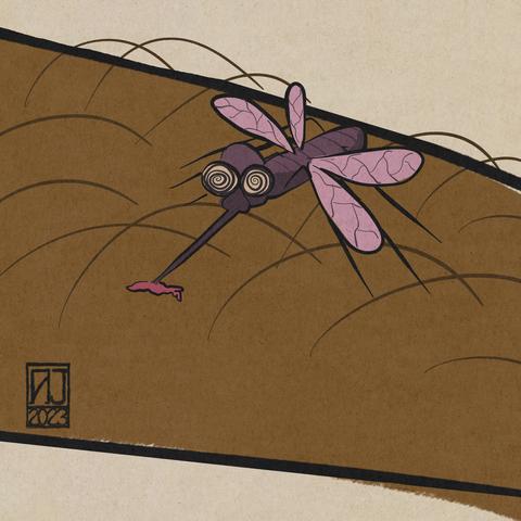 Blood sucking mosquito