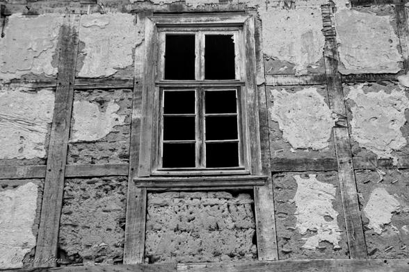 framework window

March 2023 Christoph Koester | #Meineringhausen #Korbach
