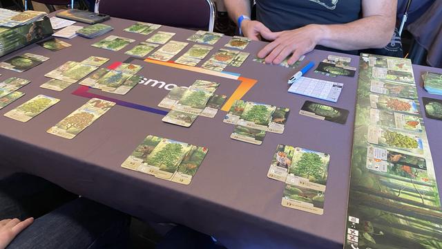Vue d’une partie de Forêt Mixte à trois joueurs. Les cartes de la pioche et de la rivière (défausse) sont sur la droite, et chaque joueur a sa forêt déployée devant lui, composée de cartes d’arbres et d’animaux.