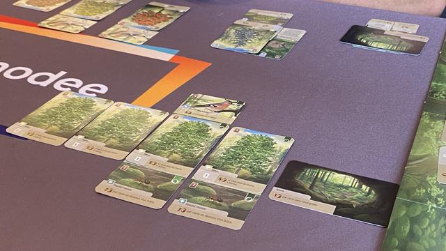 Zoom sur les cartes d’arbres et d’animaux composant la forêt d’un joueur.