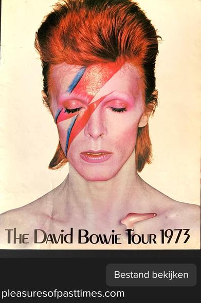 Portret van Bowie met rood haar, bovenop zijn hoofd rechtop staand, in de nek wat langer en hangend. Kleurige schichten op zijn gezicht getekend. Rode make-up op de gesloten oogleden. Blote schouders. Onderin het beeld staat: The David Bowie Tour 1973.