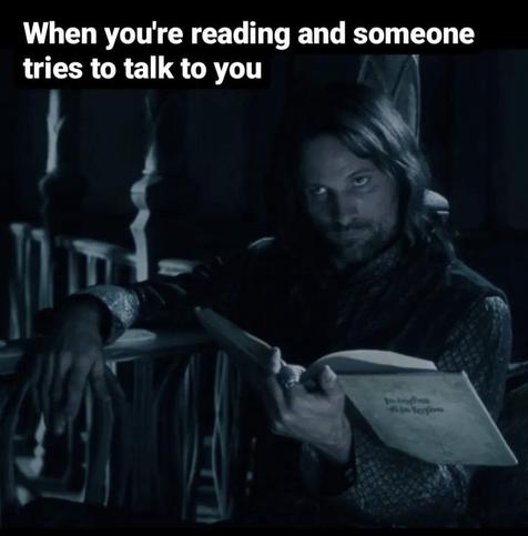 Picture of Aragorn from the Lord of the Rings movies reading a book, with an annoyed facial expression, with the text “When you’re reading, and someone tries to talk to you.”