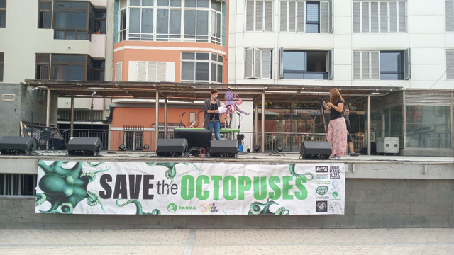 Save the Octopuses escenario con una ponente realizando una presentación