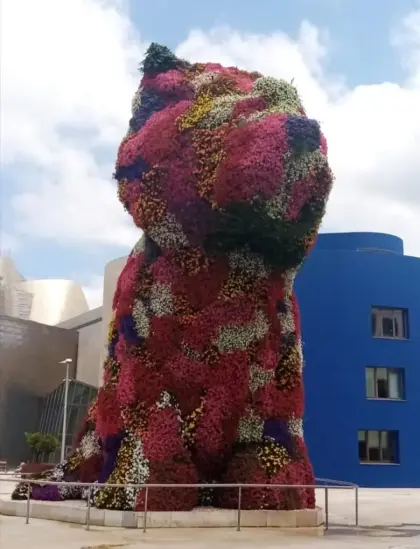 Puppy En Primer Plano, Bilbao.